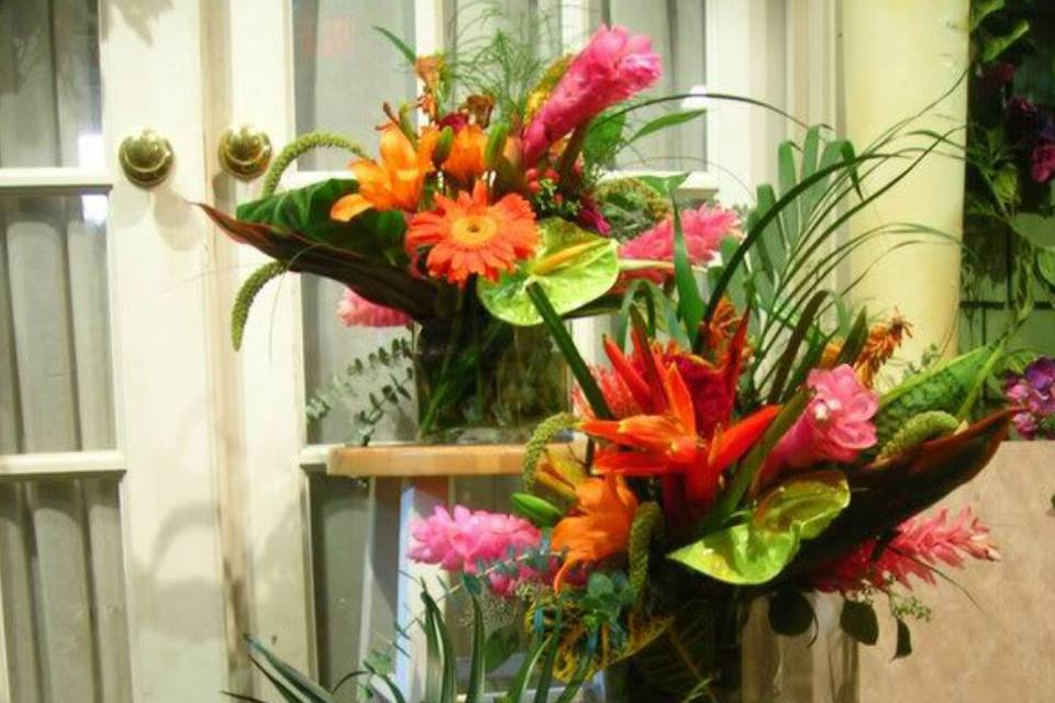 Tropical arrangement