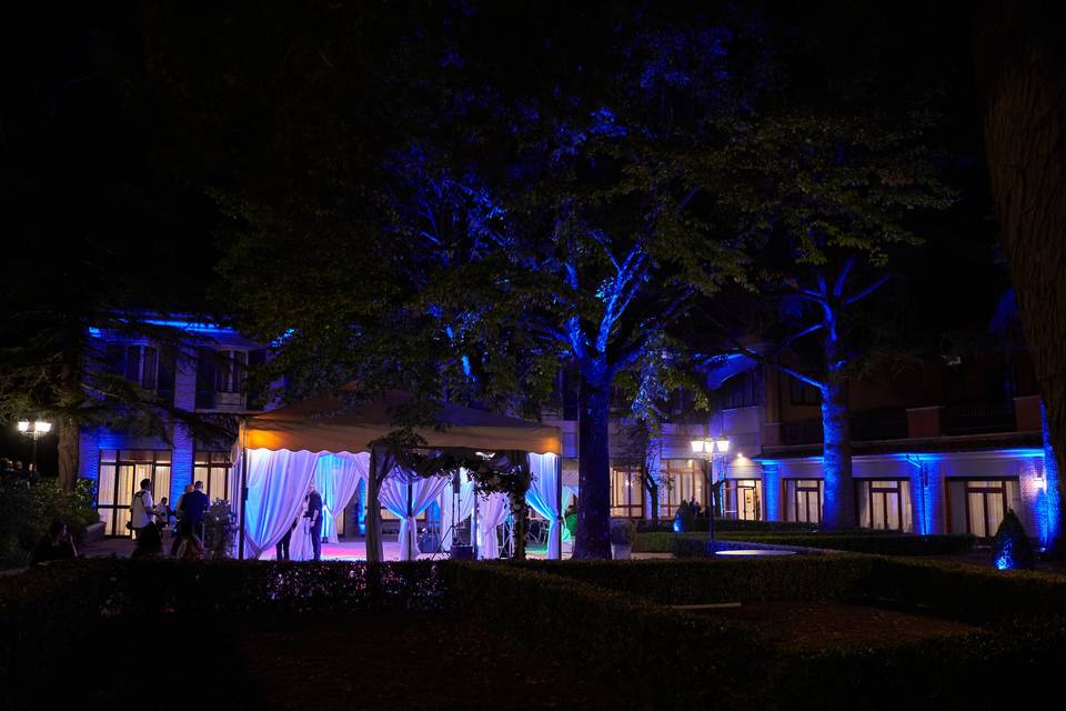 Garden by night