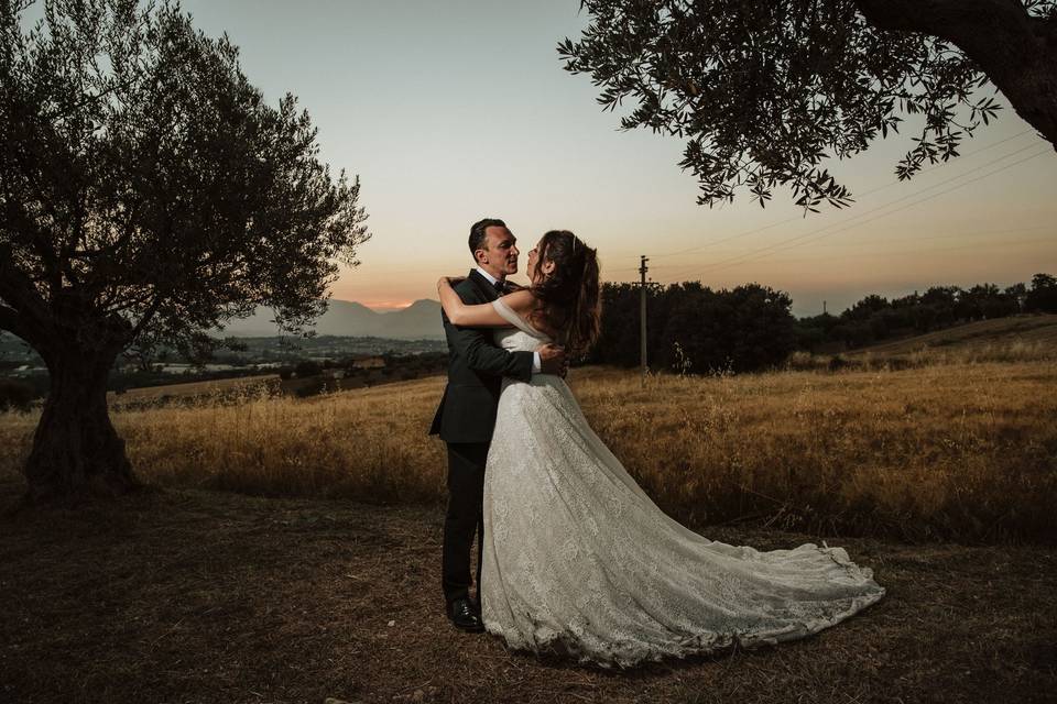 Esterna campo di grano