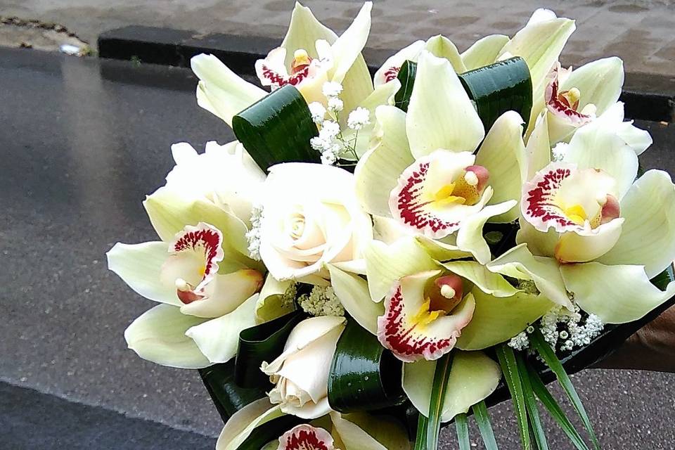 Bouquet di orchidee