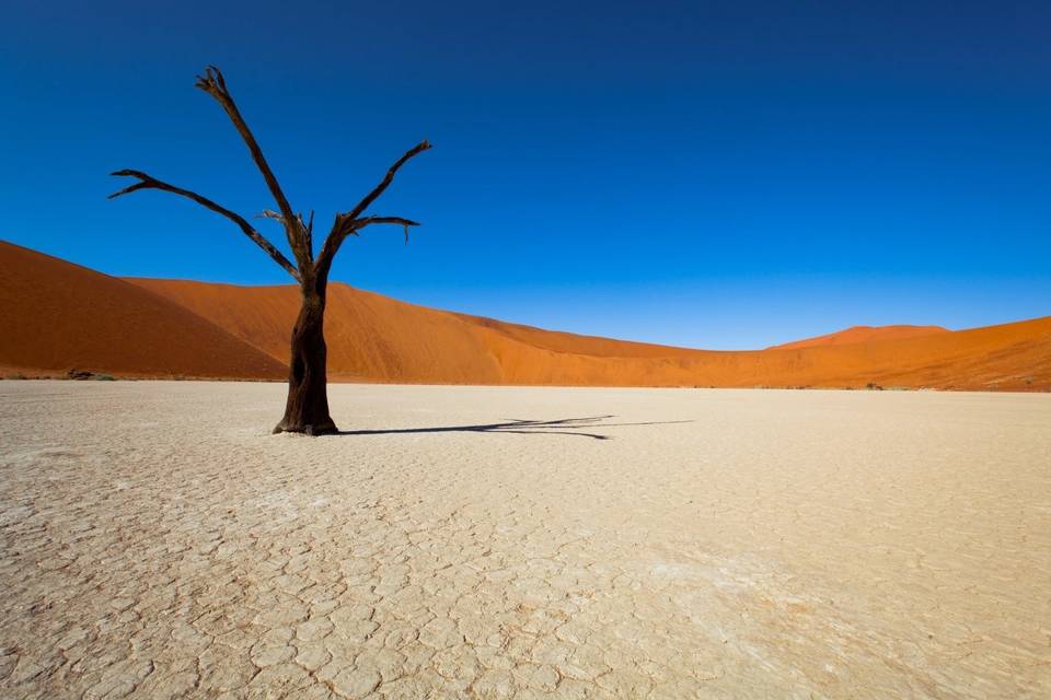 Namib Desert