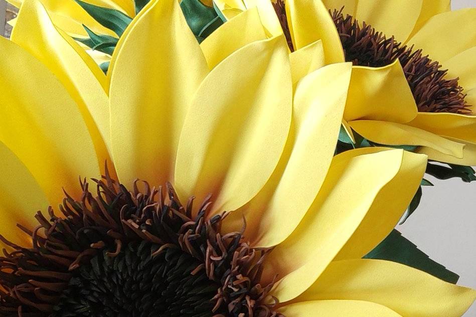 Girasoli