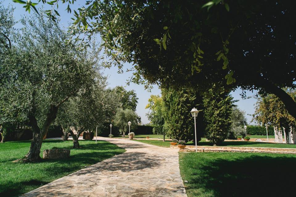 Giardino