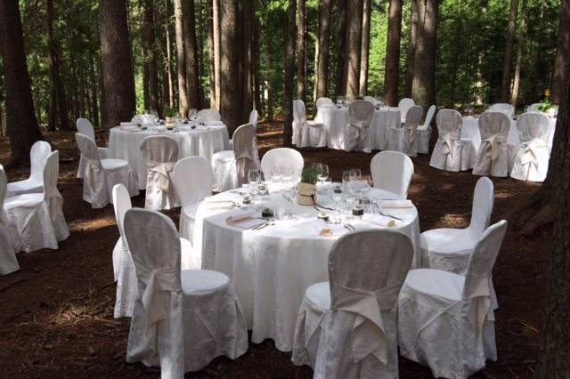 Matrimonio nel bosco