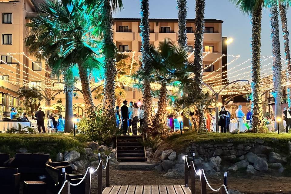 Palm Beach Club