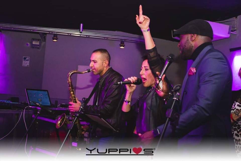 Yuppies disco club