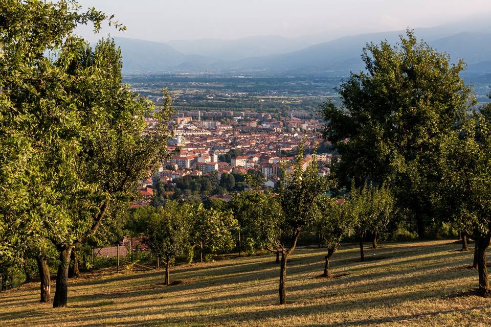 Agriturismo Altavista