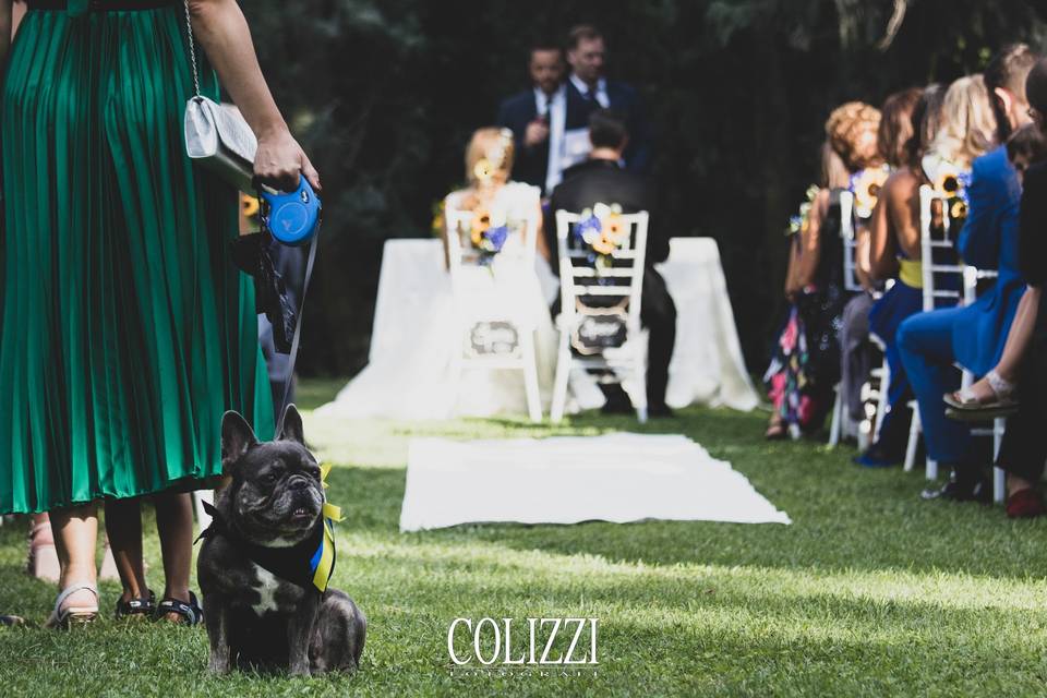 Colizzi Fotografi