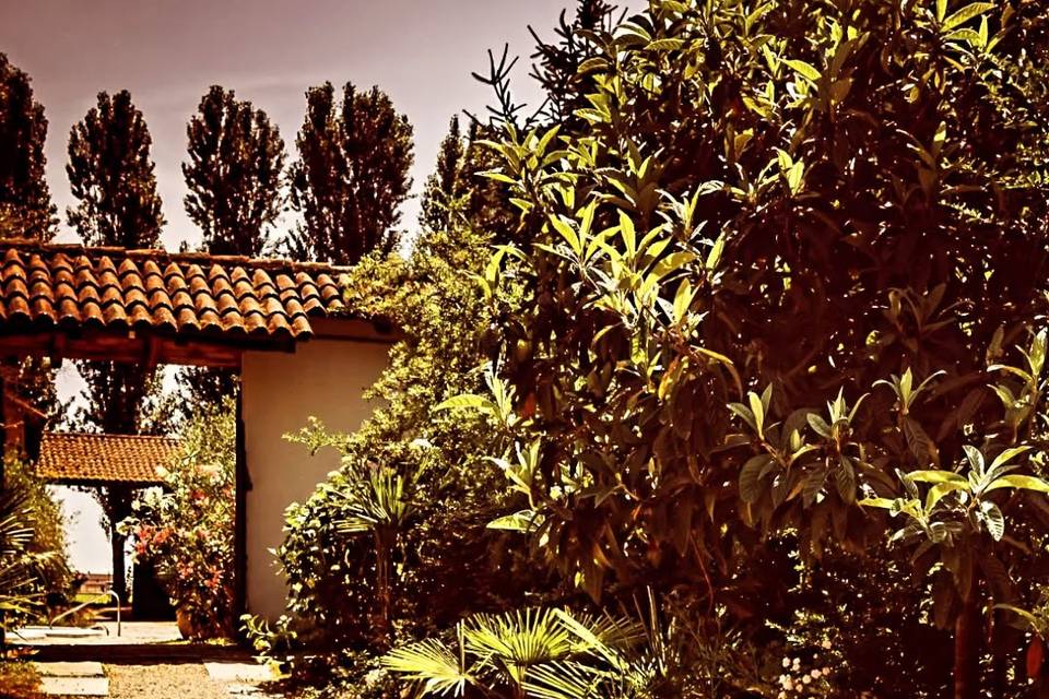 Tenuta Castelletto