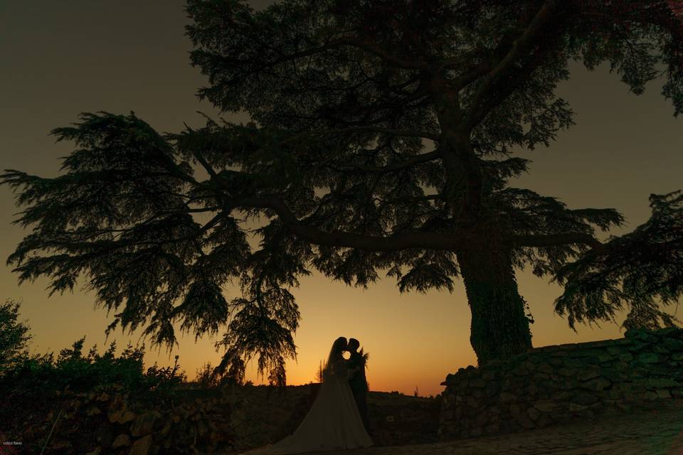 Amiche della sposa