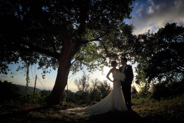 Arte Fotografica Santo Giuseppe