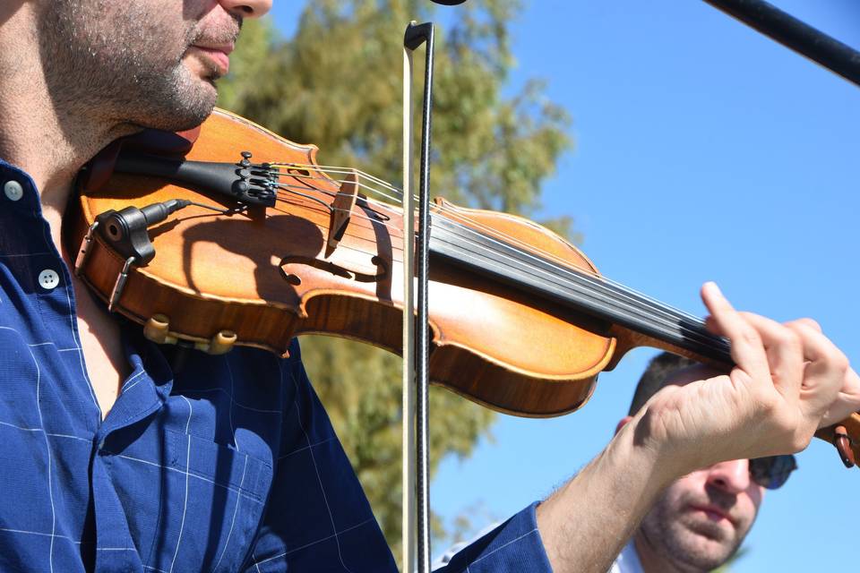 Violinista cerimonia aperto