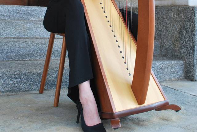 Matrimonio, Arpa Magica Lab