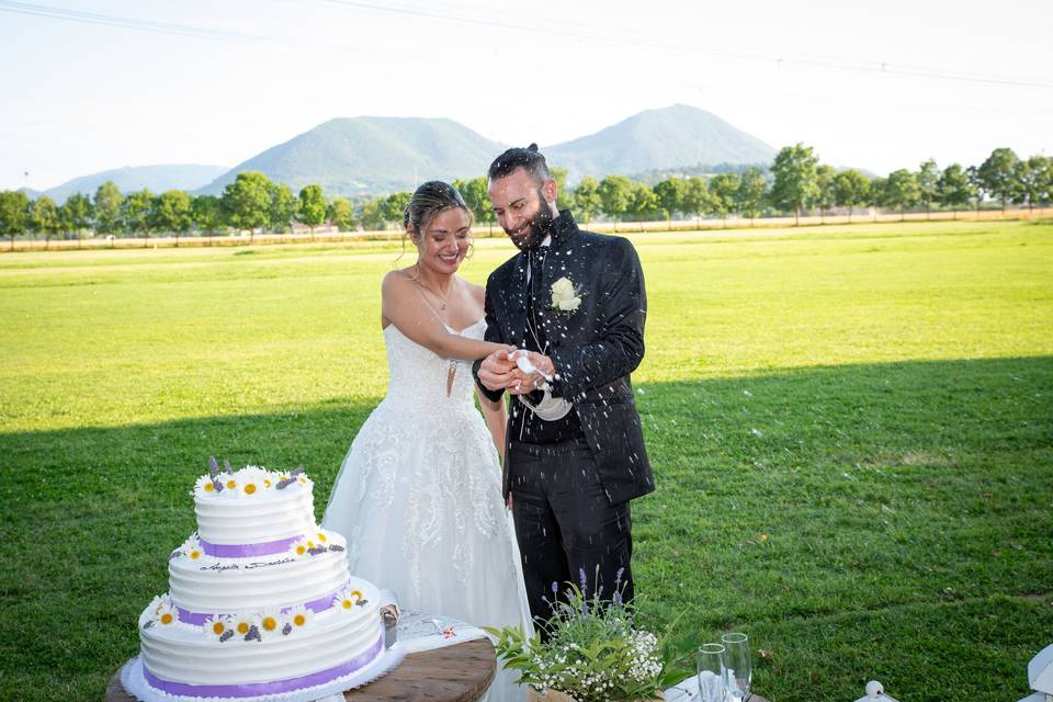 Il taglio della torta