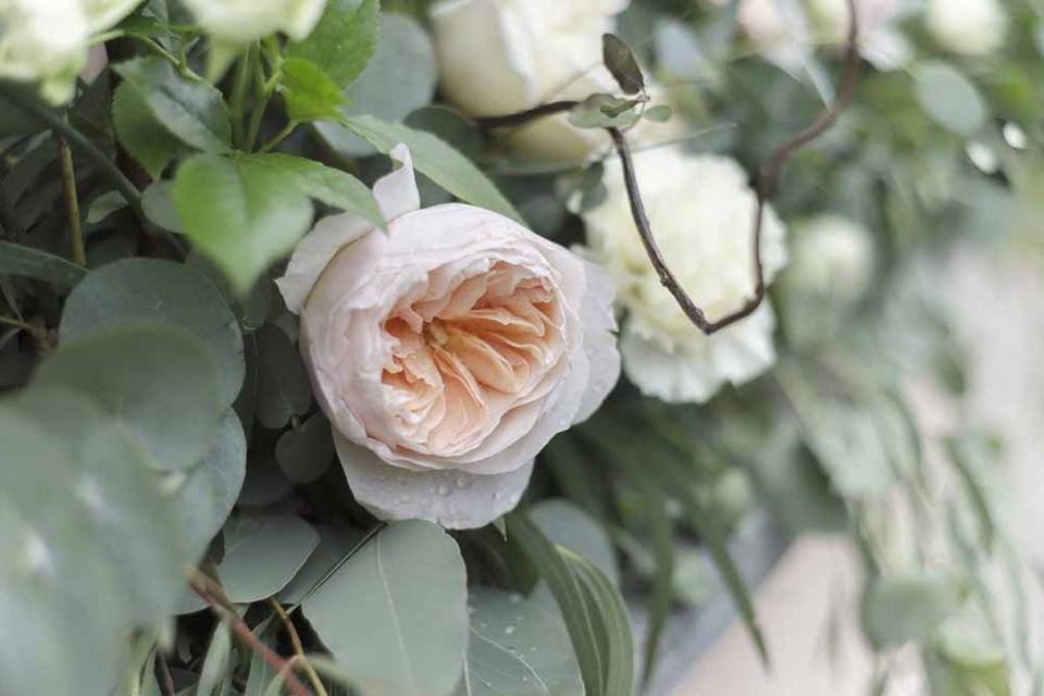 Bouquet con rose inglesi