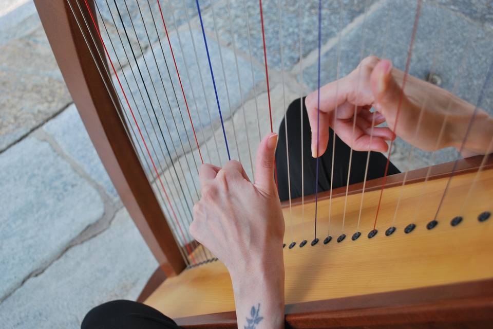 Matrimonio, Arpa Magica Lab