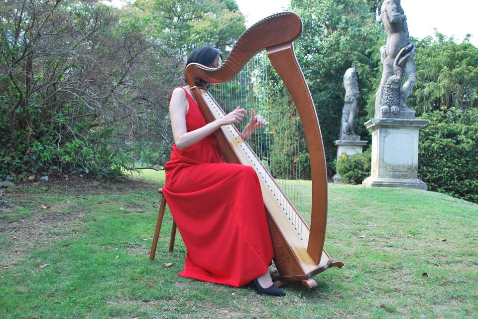 Matrimonio, Arpa Magica Lab