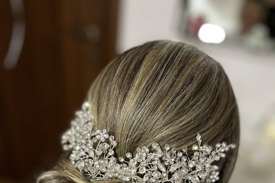 Chignon Elegante