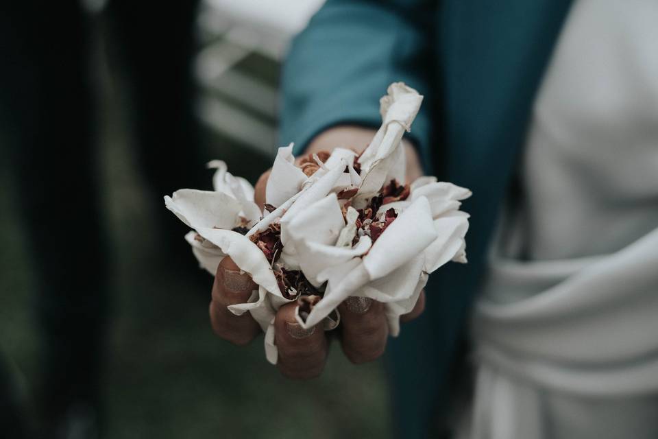 Lancio petali