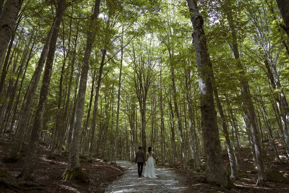 Sposi nella natura