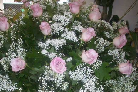 Fiorito