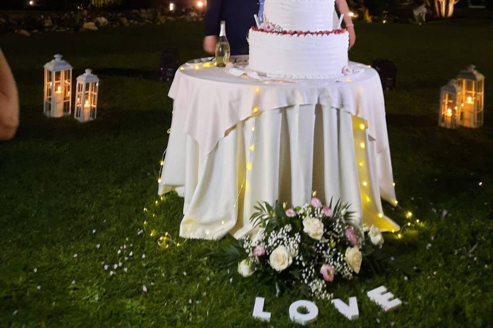 Sposi-torta-matrimonio