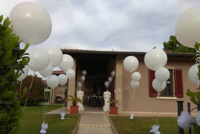 Ingresso