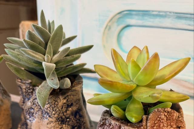 Ale Artceramics