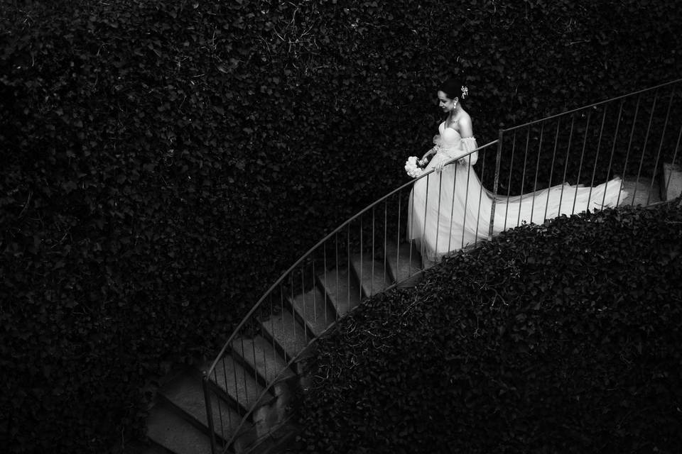Andrea Balzano Wedding Stories