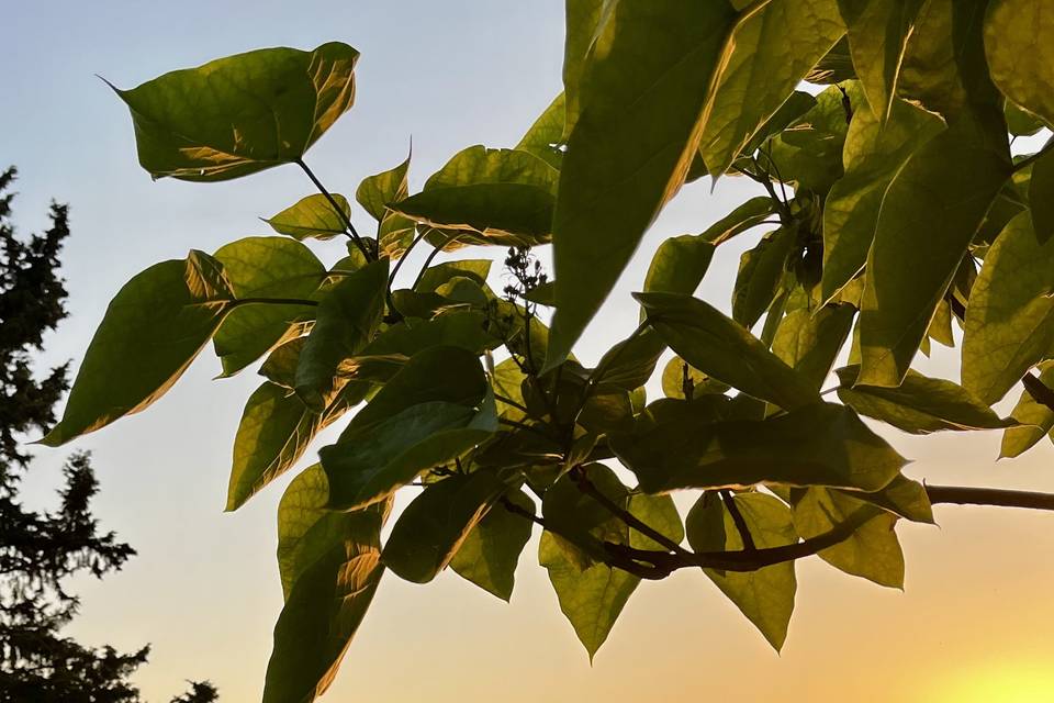 Tramonto dalla Piscina
