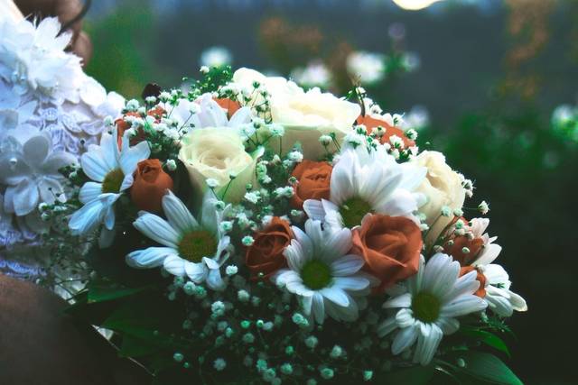 Un fiore per un si