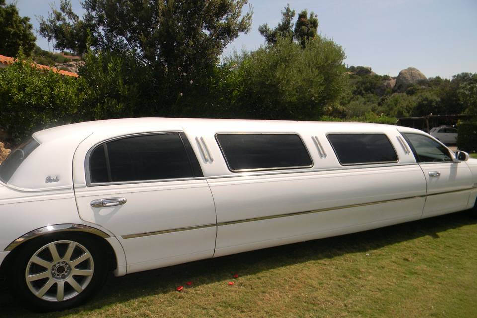 Limousine