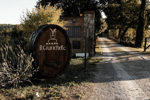 Ingresso