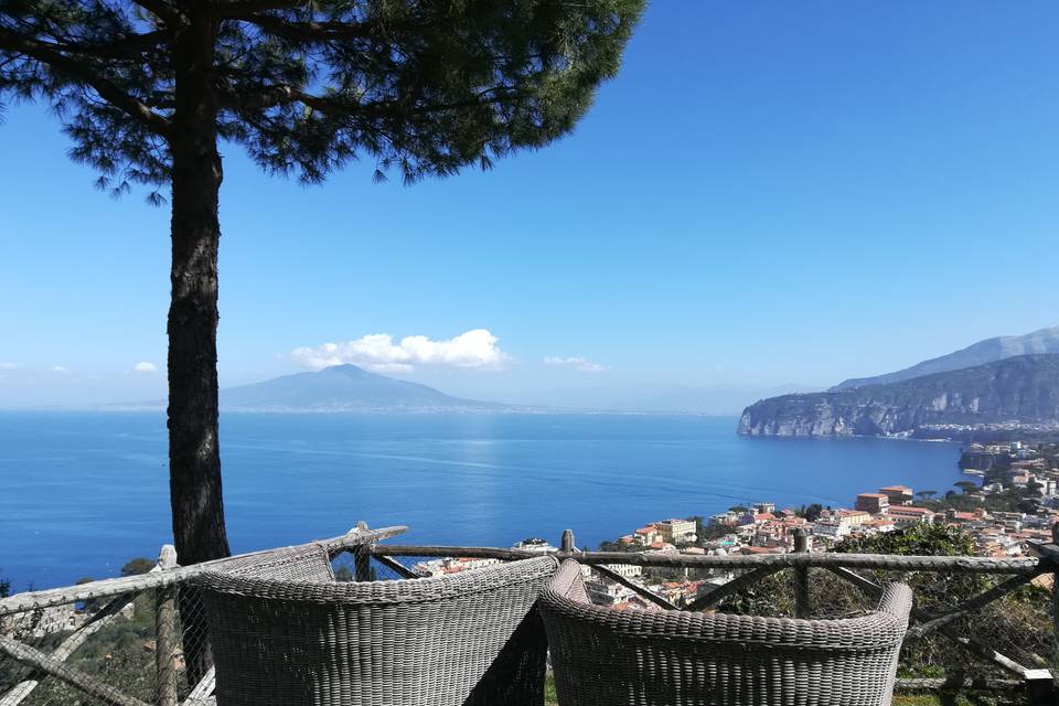 Vista dal giardino