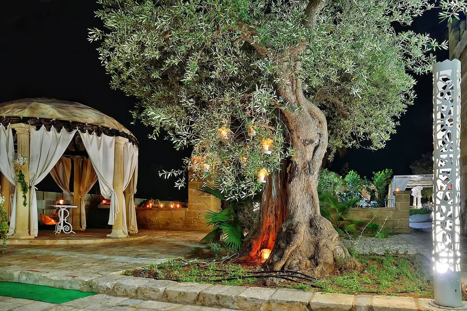 Wedding in Masseria