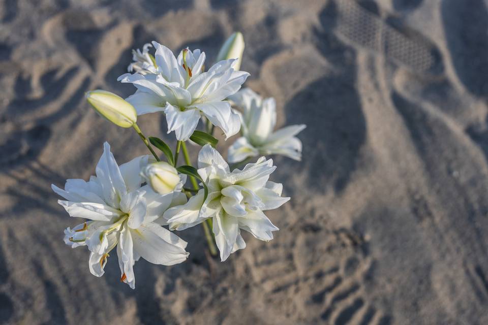 Allestimento floreale cerimoni