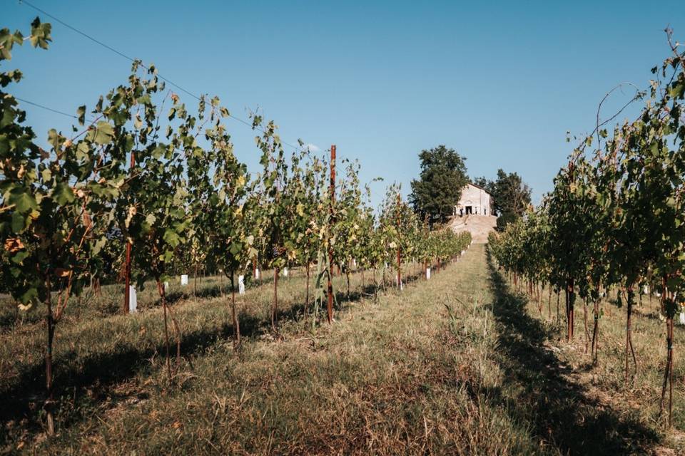 Chiesetta Romanica in collina