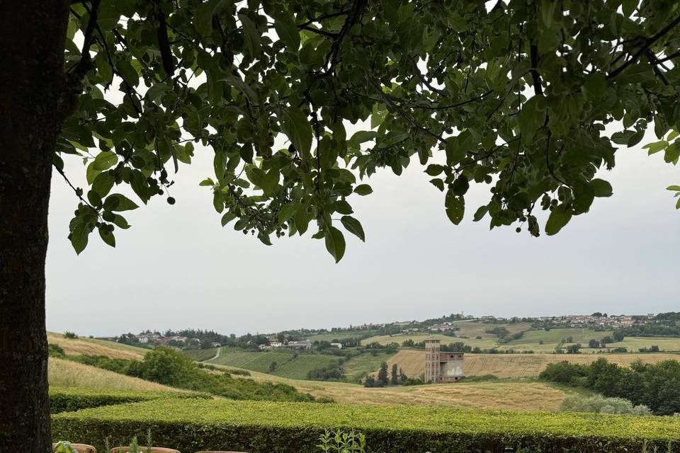 Cena con vista