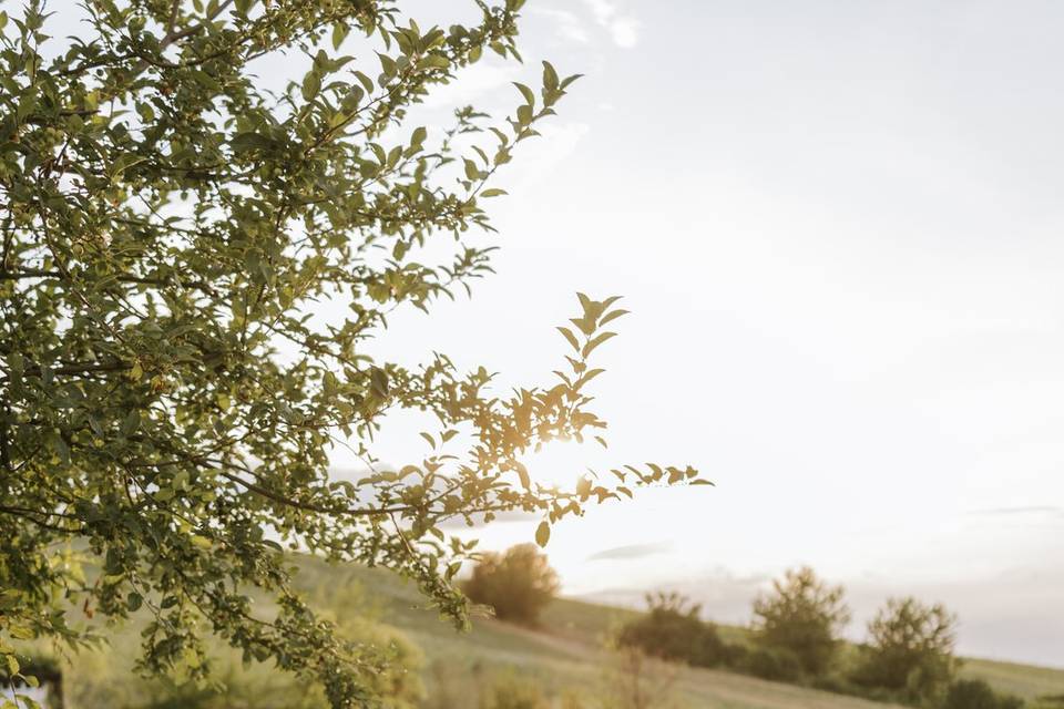 Tavolo imperiale con vista