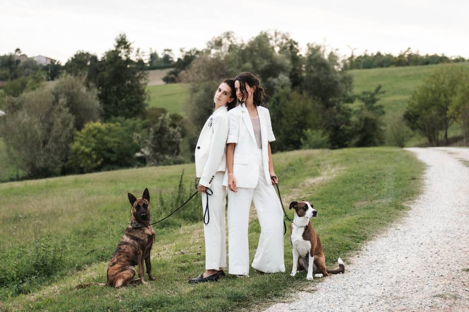 Dog friendly
