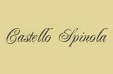 Logo Castello Spinola