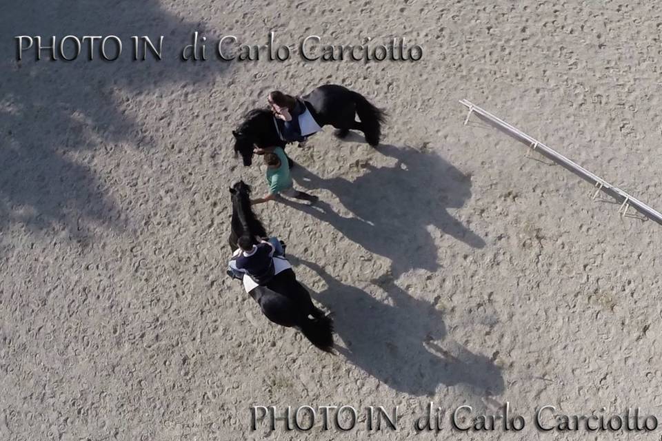 Prematrimonio drone