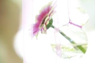 Laboratorio Floreale 1