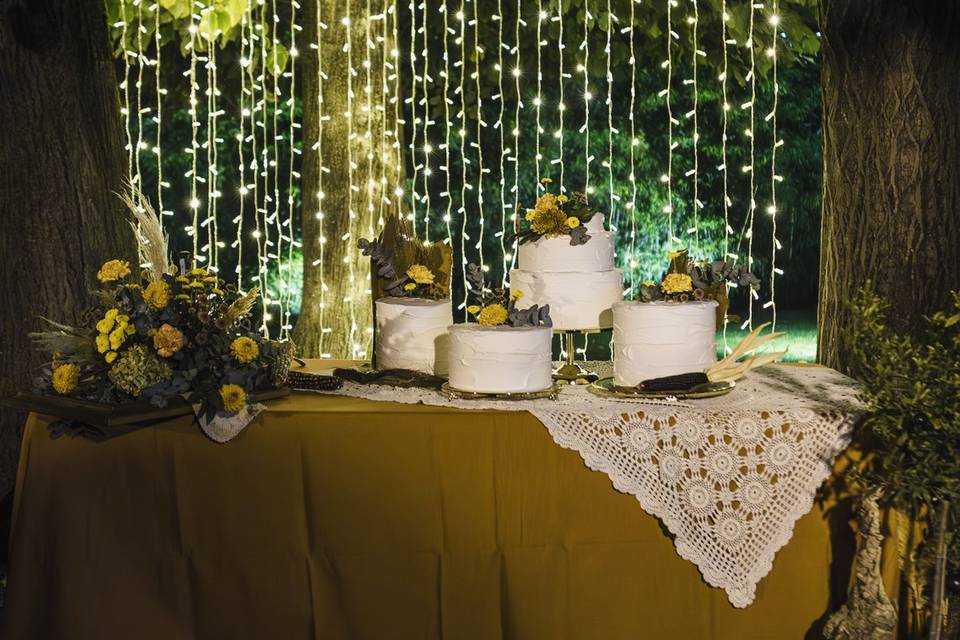 Taglio torta
