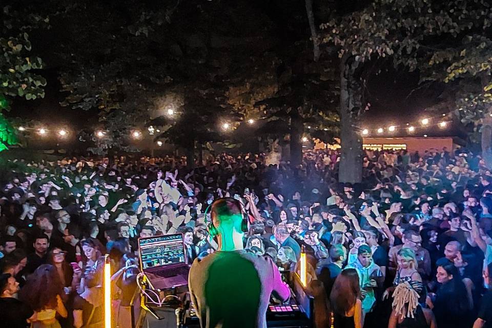 Mega Party
