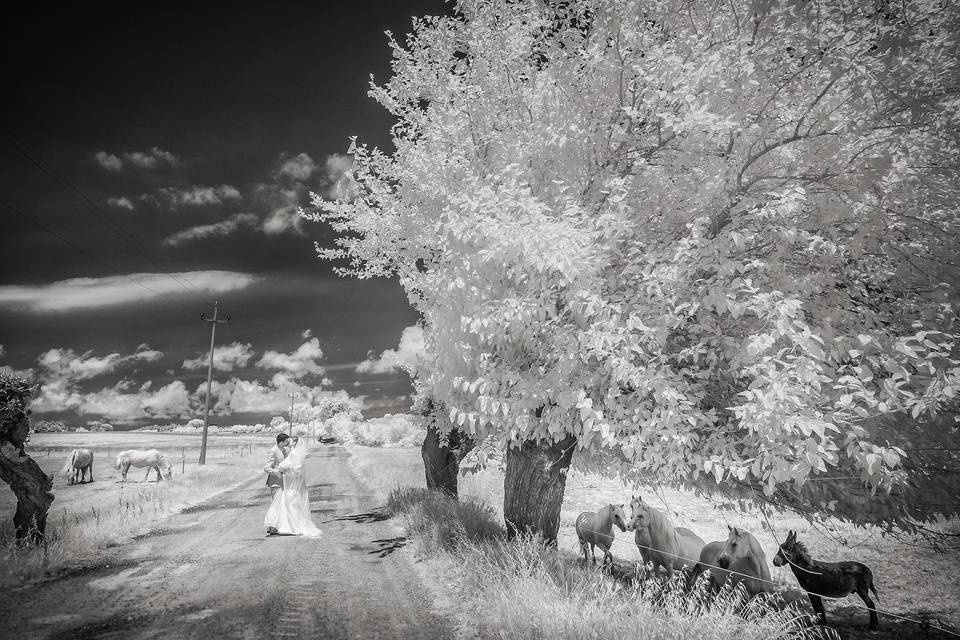 Infrared Photography