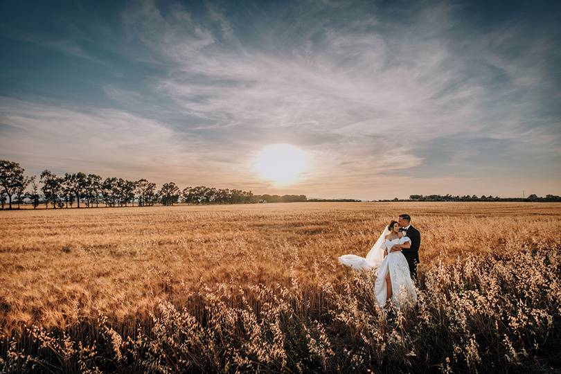 Campo di grano