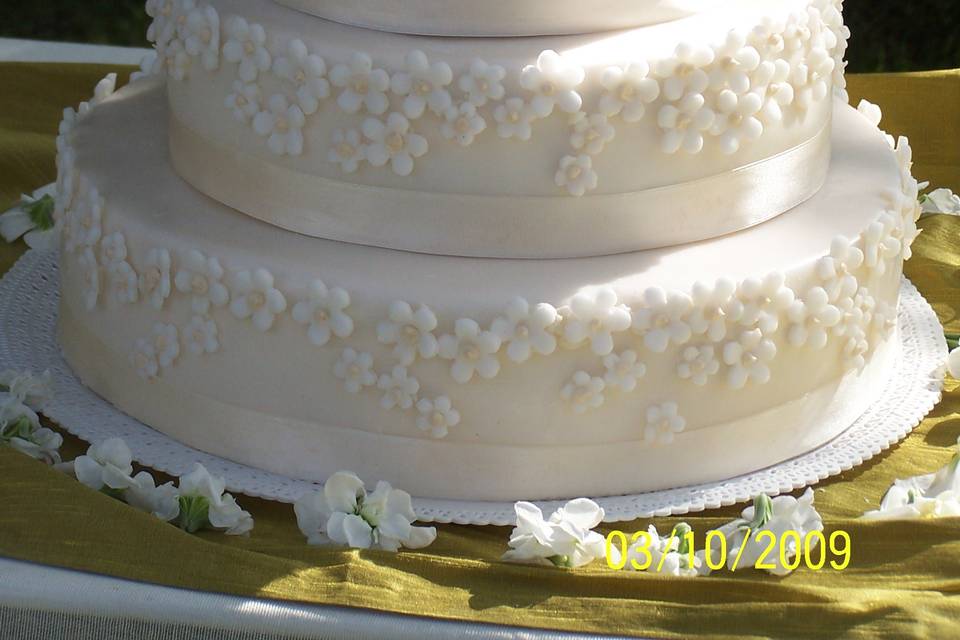 Sugar & Spice ,wedding cake