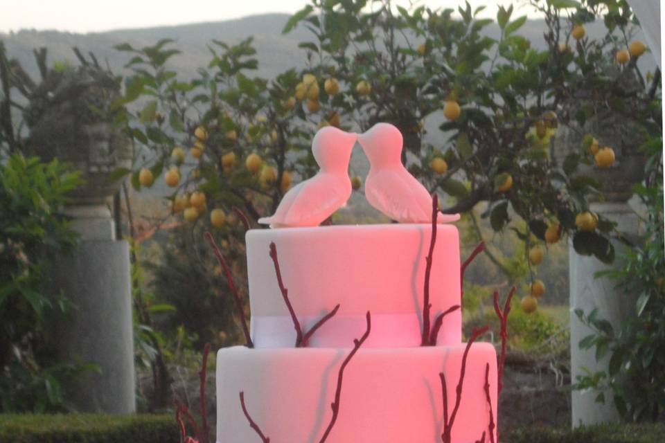 Sugar & Spice wedding cake