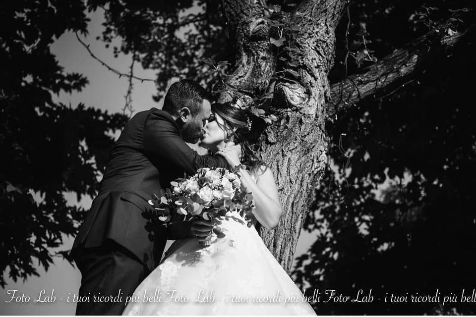 A kiss under the tree